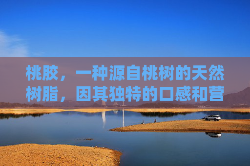 桃胶，一种源自桃树的天然树脂，因其独特的口感和营养价值而受到人们的喜爱。在传统中医中，桃胶被认为具有多种功效，下面将详细介绍桃胶的功效。-桃胶有什么功效和营养价值