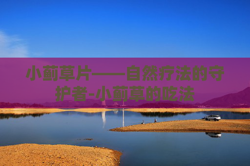 小蓟草片——自然疗法的守护者-小蓟草的吃法