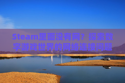 Steam里面没有网？探索数字游戏世界的网络连接问题-steam没有网络连接解决方法