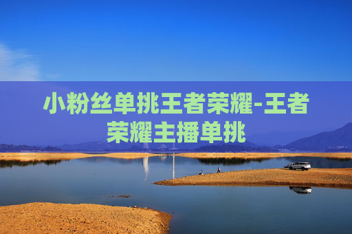 小粉丝单挑王者荣耀-王者荣耀主播单挑
