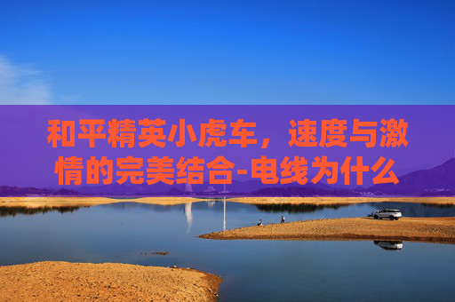 和平精英小虎车，速度与激情的完美结合-电线为什么是两根