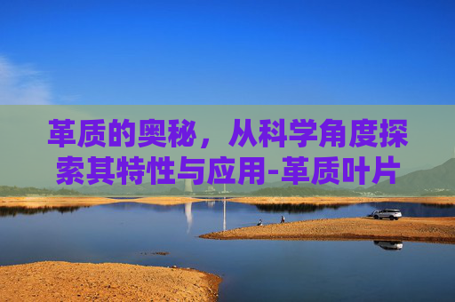 革质的奥秘，从科学角度探索其特性与应用-革质叶片
