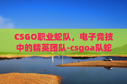 CSGO职业蛇队,电子竞技中的精英团队-csgoa队蛇鼠 CSGO职业蛇队,电子竞技中的精英团队-csgoa队蛇鼠