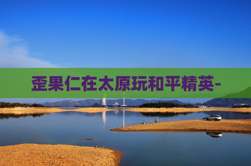 歪果仁在太原玩和平精英- 歪果仁在太原玩和平精英-