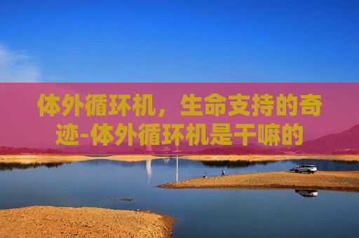 体外循环机，生命支持的奇迹-体外循环机是干嘛的