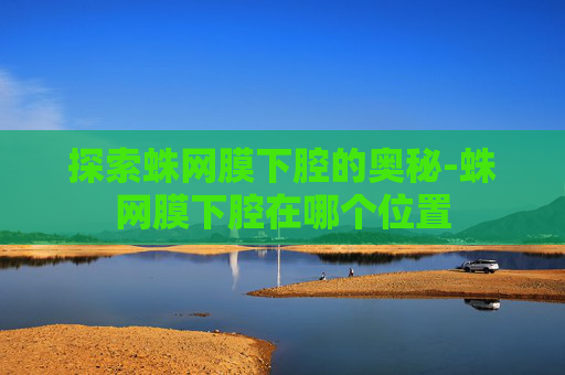 探索蛛网膜下腔的奥秘-蛛网膜下腔在哪个位置
