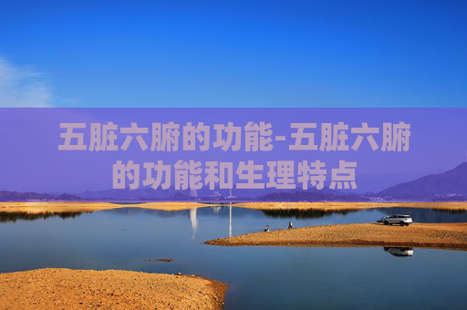五脏六腑的功能-五脏六腑的功能和生理特点