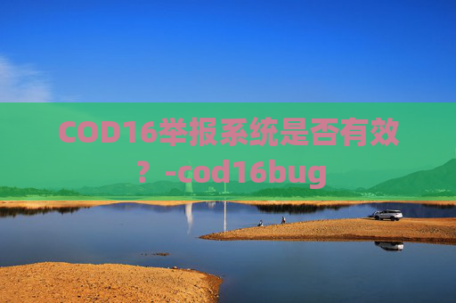COD16举报系统是否有效？-cod16bug