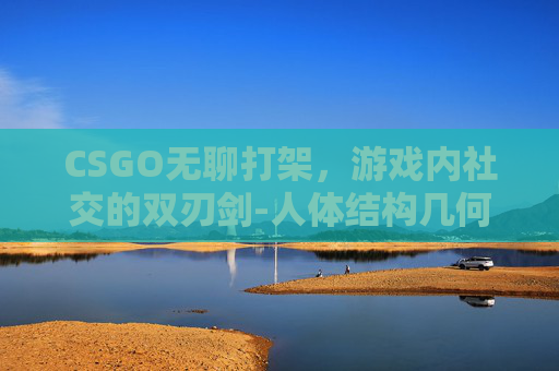 CSGO无聊打架，游戏内社交的双刃剑-人体结构几何体速写