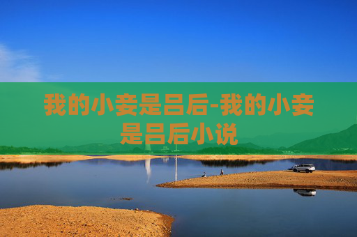 我的小妾是吕后-我的小妾是吕后小说