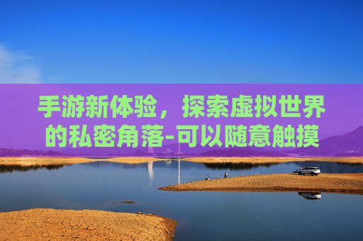 手游新体验，探索虚拟世界的私密角落-可以随意触摸内部位的小游戏软件