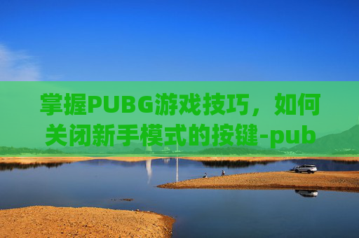 掌握PUBG游戏技巧，如何关闭新手模式的按键-pubg如何关闭按键指南