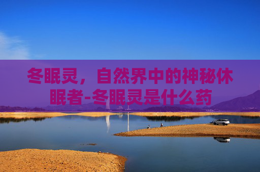 冬眠灵，自然界中的神秘休眠者-冬眠灵是什么药