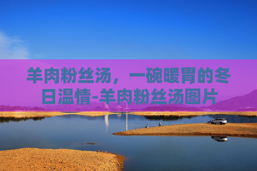 羊肉粉丝汤，一碗暖胃的冬日温情-羊肉粉丝汤图片