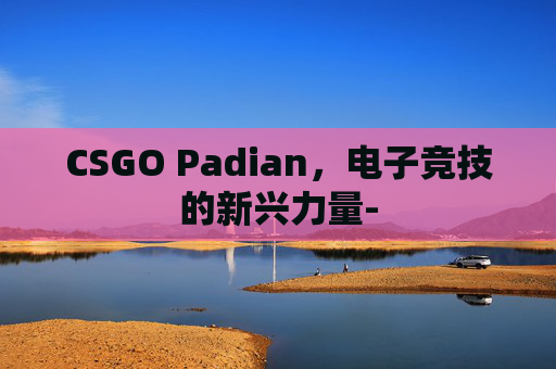 CSGO Padian，电子竞技的新兴力量-