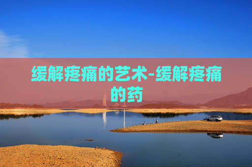 缓解疼痛的艺术-缓解疼痛的药