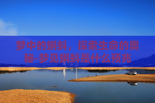 梦中的蝌蚪，探索生命的奥秘-梦见蝌蚪是什么预兆