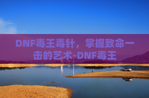 DNF毒王毒针，掌握致命一击的艺术-DNF毒王
