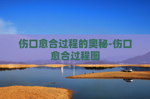 伤口愈合过程的奥秘-伤口愈合过程图