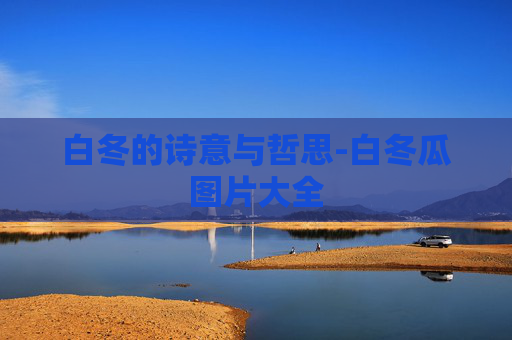 白冬的诗意与哲思-白冬瓜图片大全