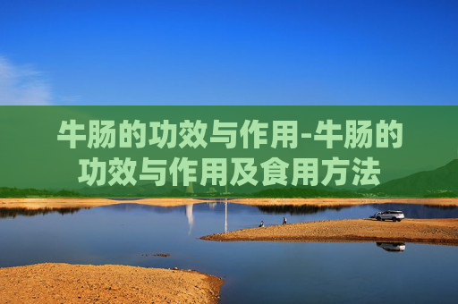 牛肠的功效与作用-牛肠的功效与作用及食用方法