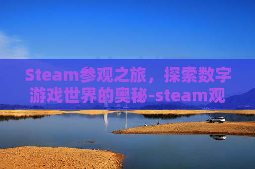Steam参观之旅，探索数字游戏世界的奥秘-steam观战别人那个人会知道吗