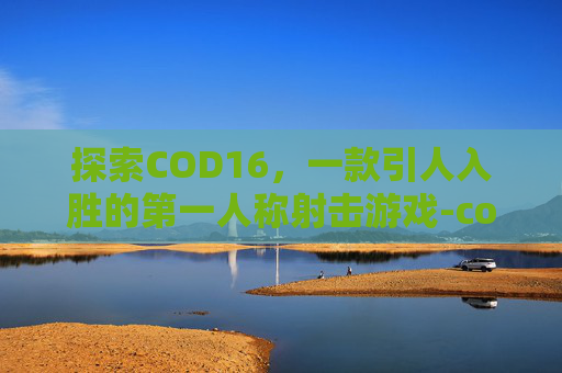 探索COD16，一款引人入胜的第一人称射击游戏-cod16wzm