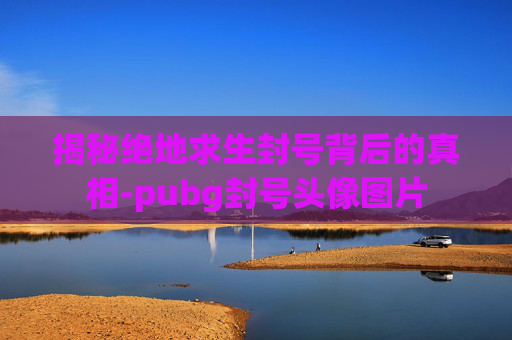 揭秘绝地求生封号背后的真相-pubg封号头像图片