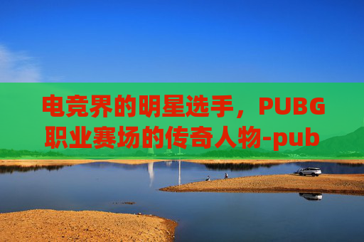 电竞界的明星选手，PUBG职业赛场的传奇人物-pubg职业选手名单