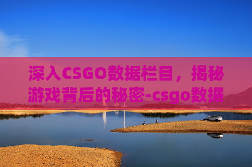 深入CSGO数据栏目，揭秘游戏背后的秘密-csgo数据术语