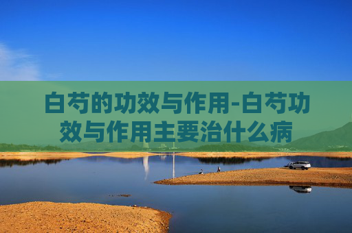 白芍的功效与作用-白芍功效与作用主要治什么病