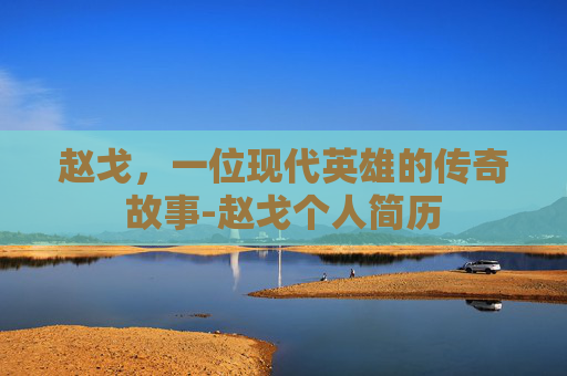 赵戈，一位现代英雄的传奇故事-赵戈个人简历