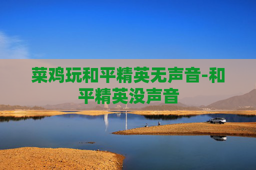 菜鸡玩和平精英无声音-和平精英没声音