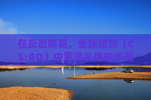 在反恐精英，全球攻势（CS:GO）中更换头像的步骤指南-怎么换头像在csgo里显示