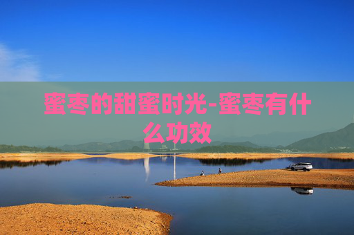 蜜枣的甜蜜时光-蜜枣有什么功效