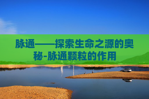 脉通——探索生命之源的奥秘-脉通颗粒的作用
