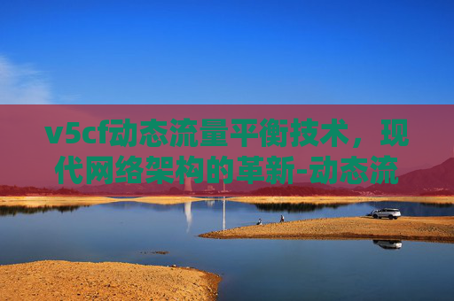 v5cf动态流量平衡技术，现代网络架构的革新-动态流量平衡阀安装示意图