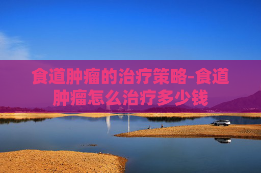 食道肿瘤的治疗策略-食道肿瘤怎么治疗多少钱
