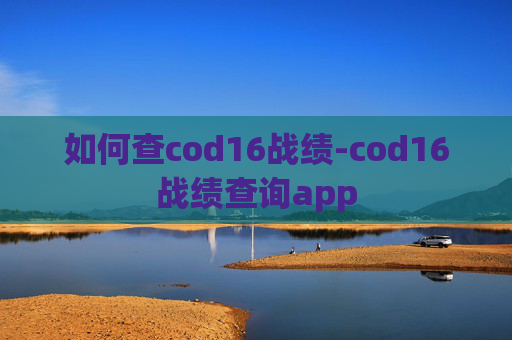 如何查cod16战绩-cod16战绩查询app