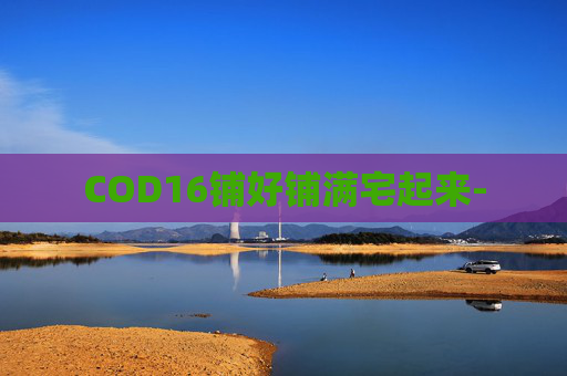 COD16铺好铺满宅起来-