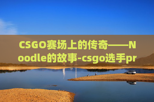 CSGO赛场上的传奇——Noodle的故事-csgo选手pr