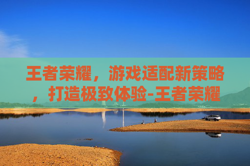 王者荣耀，游戏适配新策略，打造极致体验-王者荣耀出现适配器怎么办