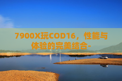 7900X玩COD16，性能与体验的完美结合-