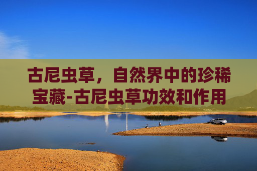 古尼虫草，自然界中的珍稀宝藏-古尼虫草功效和作用