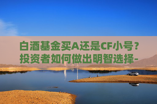 白酒基金买A还是CF小号？投资者如何做出明智选择-白酒基金买a还是cf小号划算