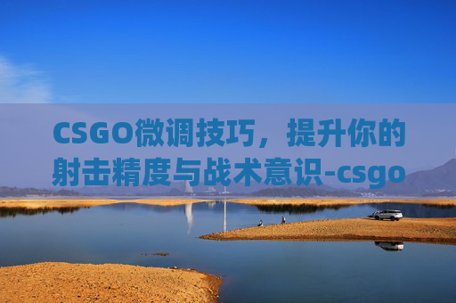 CSGO微调技巧，提升你的射击精度与战术意识-csgo如何调设置