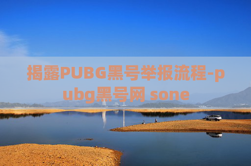 揭露PUBG黑号举报流程-pubg黑号网 sone