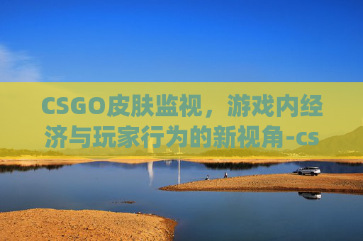 CSGO皮肤监视，游戏内经济与玩家行为的新视角-csgo皮肤指令