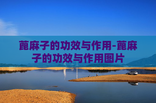蓖麻子的功效与作用-蓖麻子的功效与作用图片