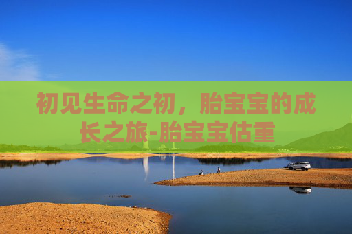 初见生命之初，胎宝宝的成长之旅-胎宝宝估重